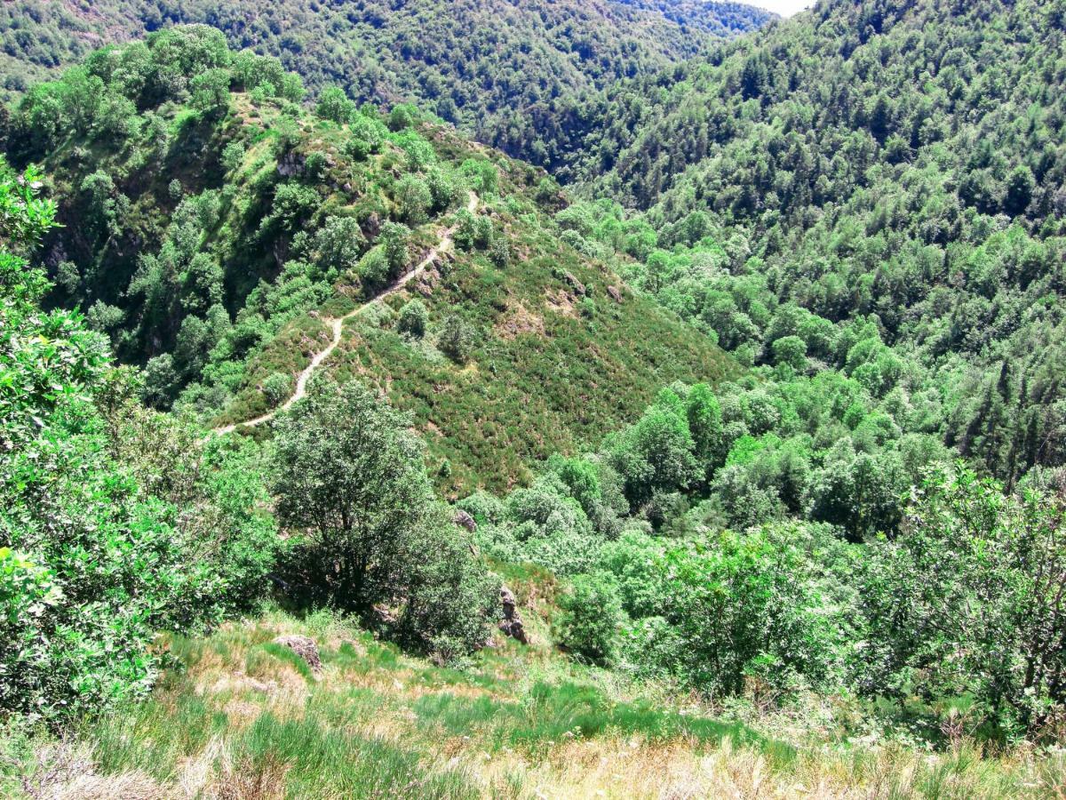Le Bos Clard Villa Félines Dış mekan fotoğraf